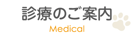 診療のご案内