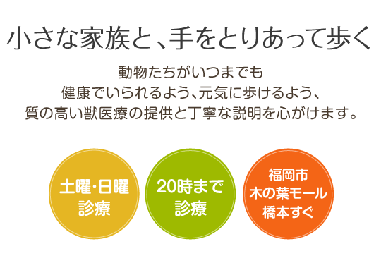 小さな家族と、手をとりあって歩く 土曜･日曜診療 20時まで診療  アルク動物病院