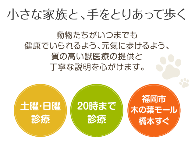 小さな家族と、手をとりあって歩く 土曜･日曜診療 20時まで診療 アルク動物病院