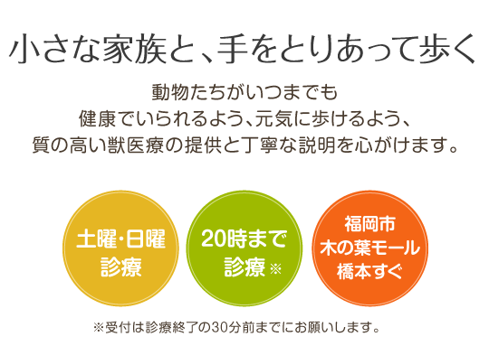 小さな家族と、手をとりあって歩く 土曜･日曜診療 20時まで診療  アルク動物病院