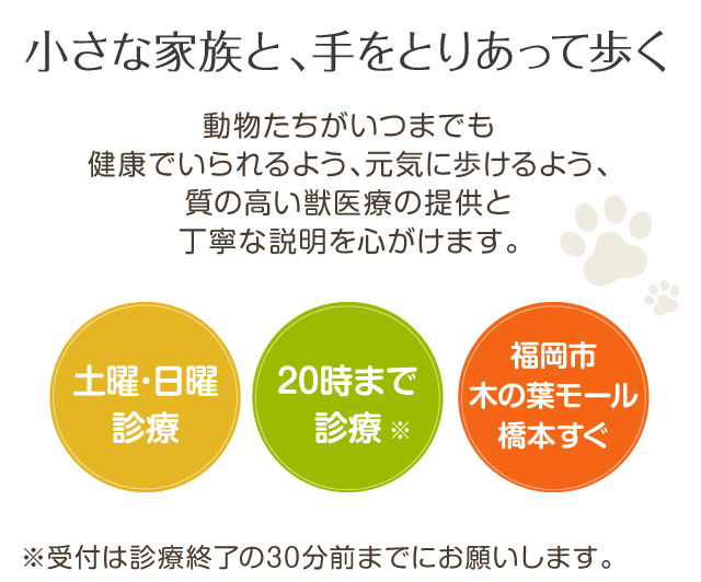 小さな家族と、手をとりあって歩く 土曜･日曜診療 20時まで診療 アルク動物病院