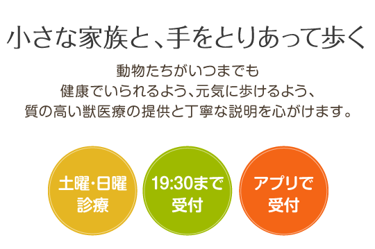 小さな家族と、手をとりあって歩く 土曜･日曜診療 20時まで診療  アルク動物病院