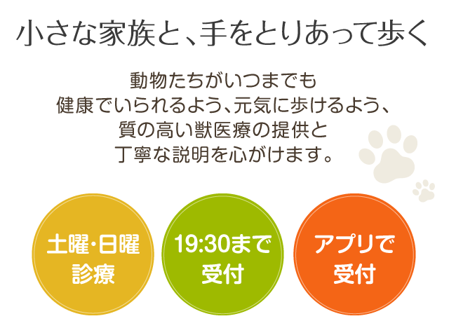 小さな家族と、手をとりあって歩く 土曜･日曜診療 20時まで診療 アルク動物病院