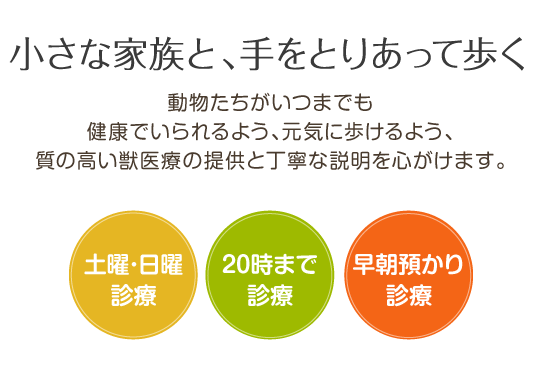 公式 アルク動物病院 福岡市西区 木の葉モール橋本すぐ 公式 アルク動物病院 福岡市西区 木の葉モール橋本すぐ